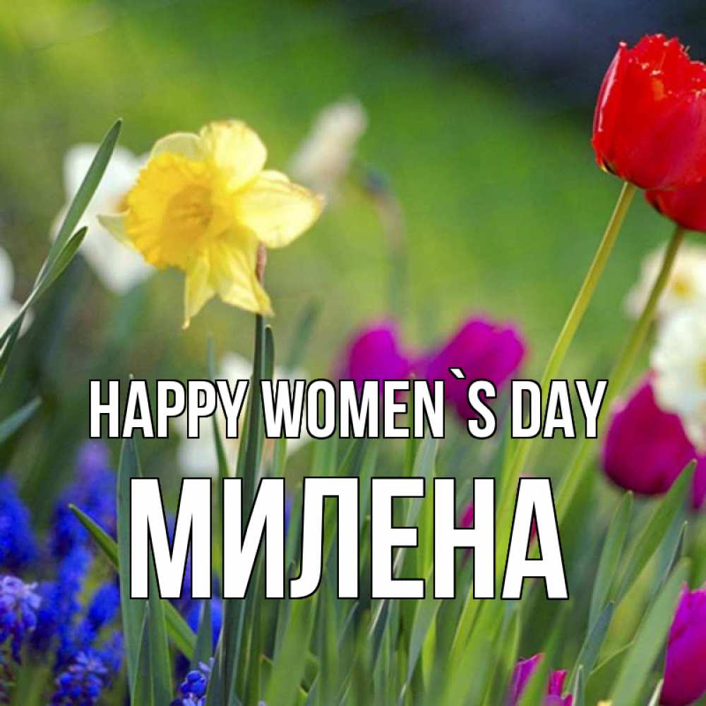 Greetings card с именем, Милена happy women`s day международный женский день 3 Greetings with text for free download 